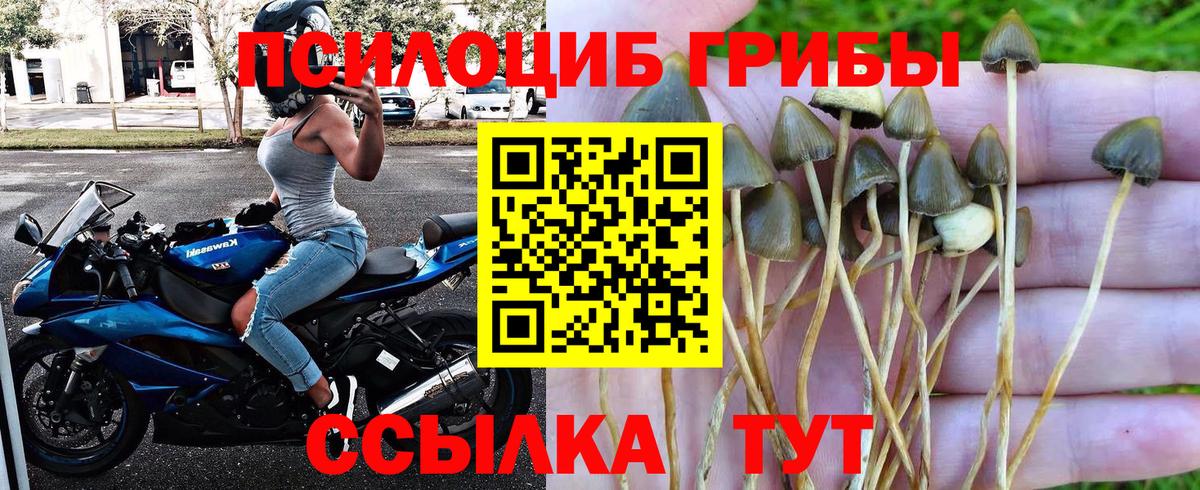 Псилоцибиновые грибы Psilocybine cubensis  Вход с VPN  Лянтор 